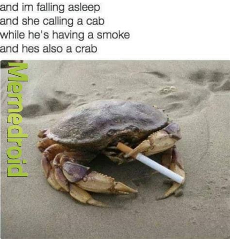 Crapmeme .
